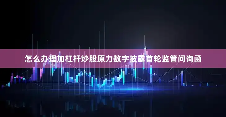 怎么办理加杠杆炒股原力数字披露首轮监管问询函