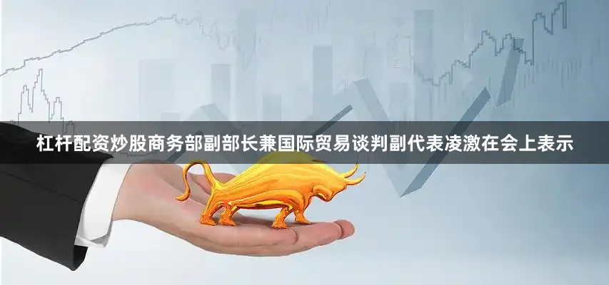 杠杆配资炒股商务部副部长兼国际贸易谈判副代表凌激在会上表示