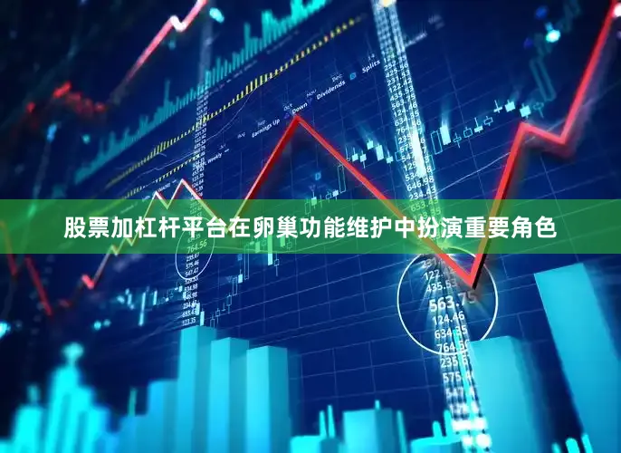 股票加杠杆平台在卵巢功能维护中扮演重要角色